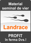 Material seminal de vier - Rasa Landrace