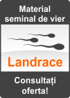 Material seminal de vier - Rasa Landrace