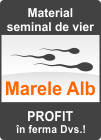 Material seminal de vier - Rasa Marele Alb
